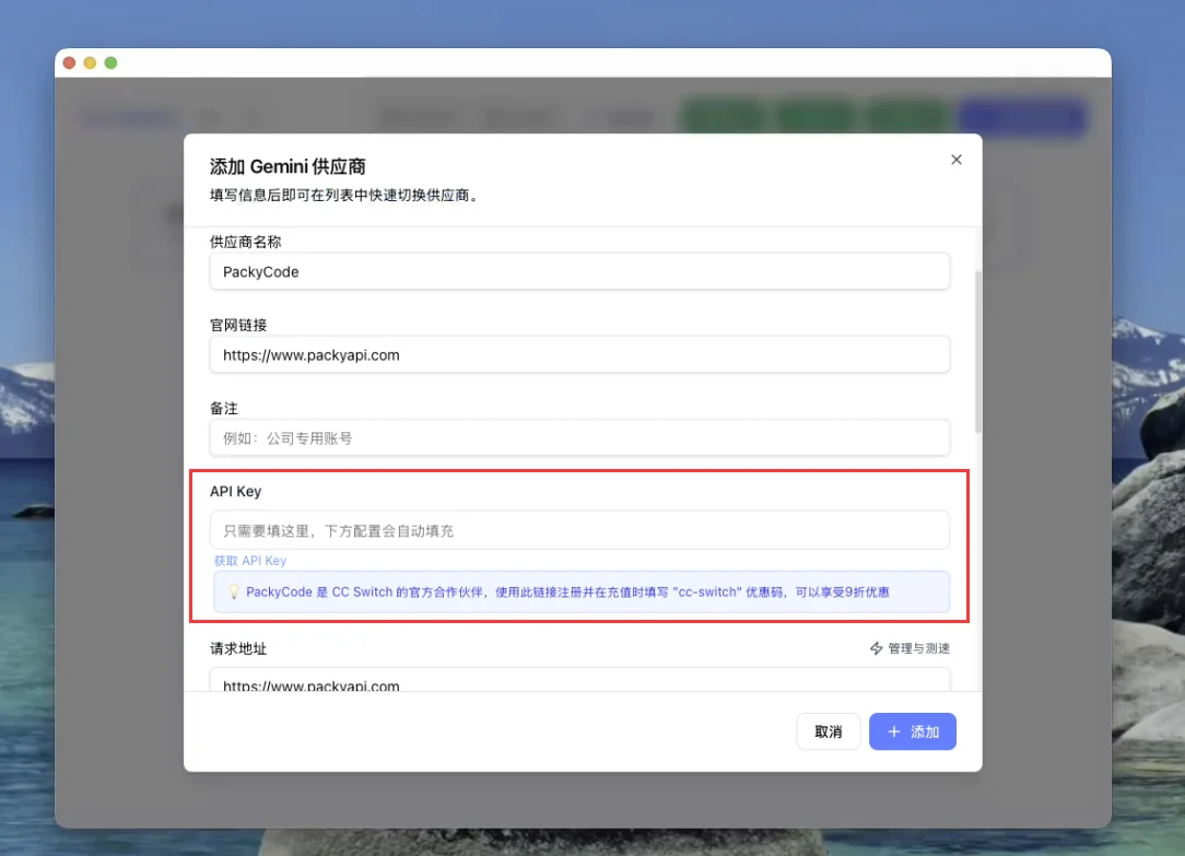 填入 Gemini API Key