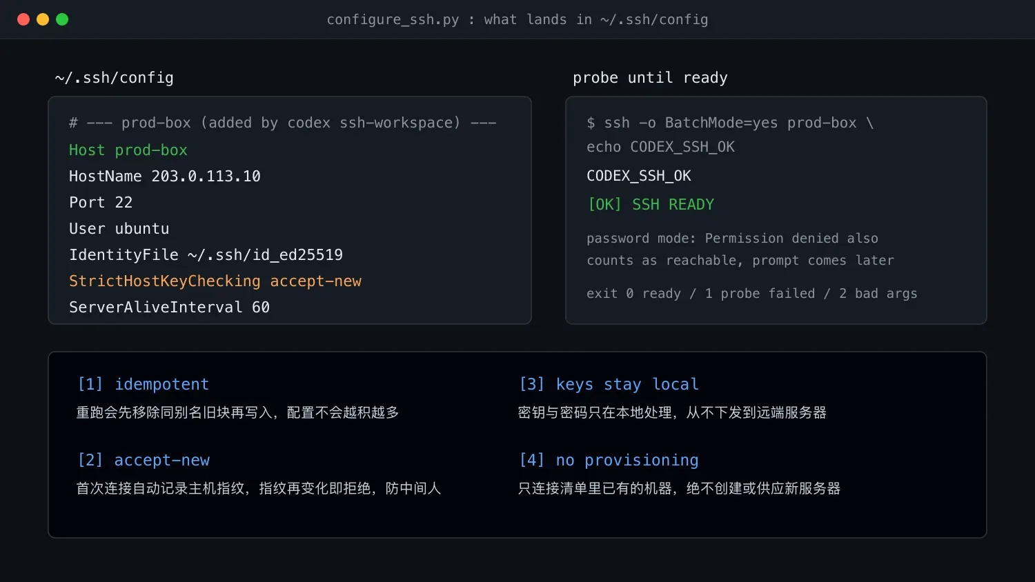 写入的 Host 块与探测过程